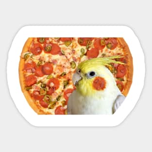 pizza cockatiel Sticker